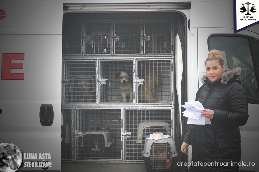 LUNA_ASTA_STERILIZAM_19.03.2026
