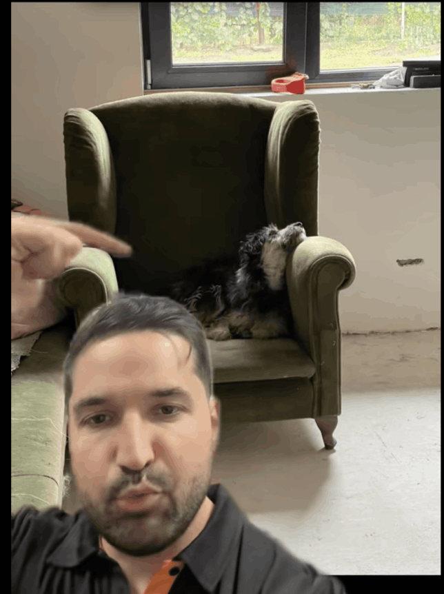 Un polițist din lalomița este acuzat că a ucis un câine doar pentru că nu îi plac animalele 